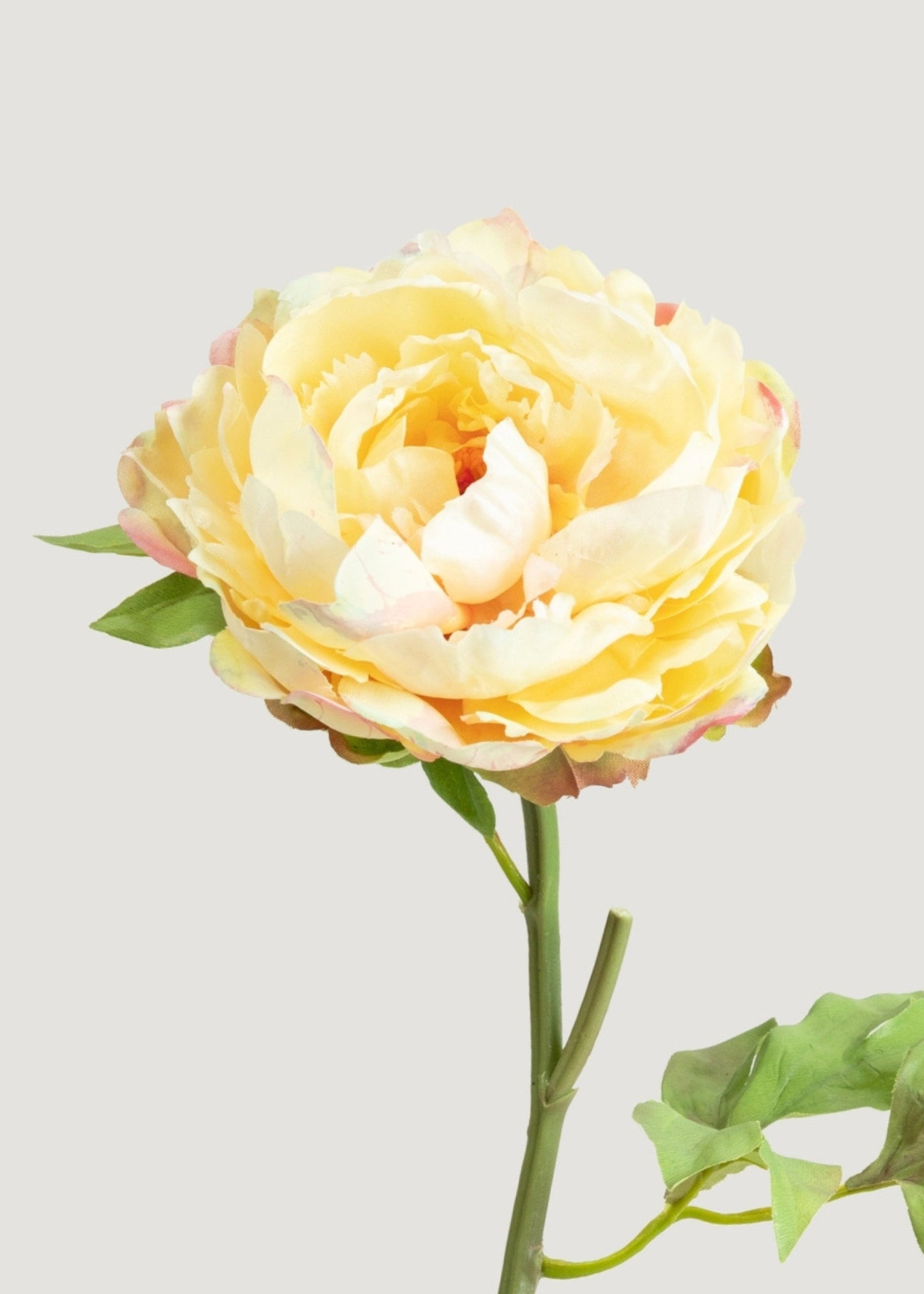 Real Touch Peony in Yellow Watercolor Palette - 20"