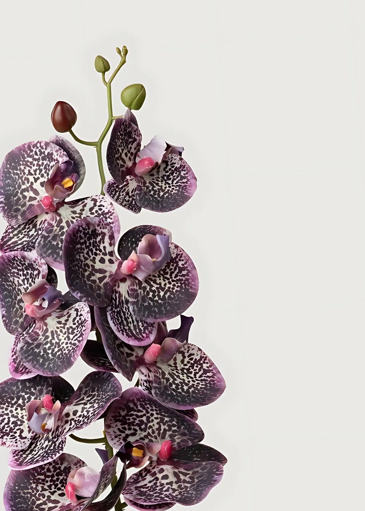 Real Touch Phalaenopsis Orchid in Plum - 35"