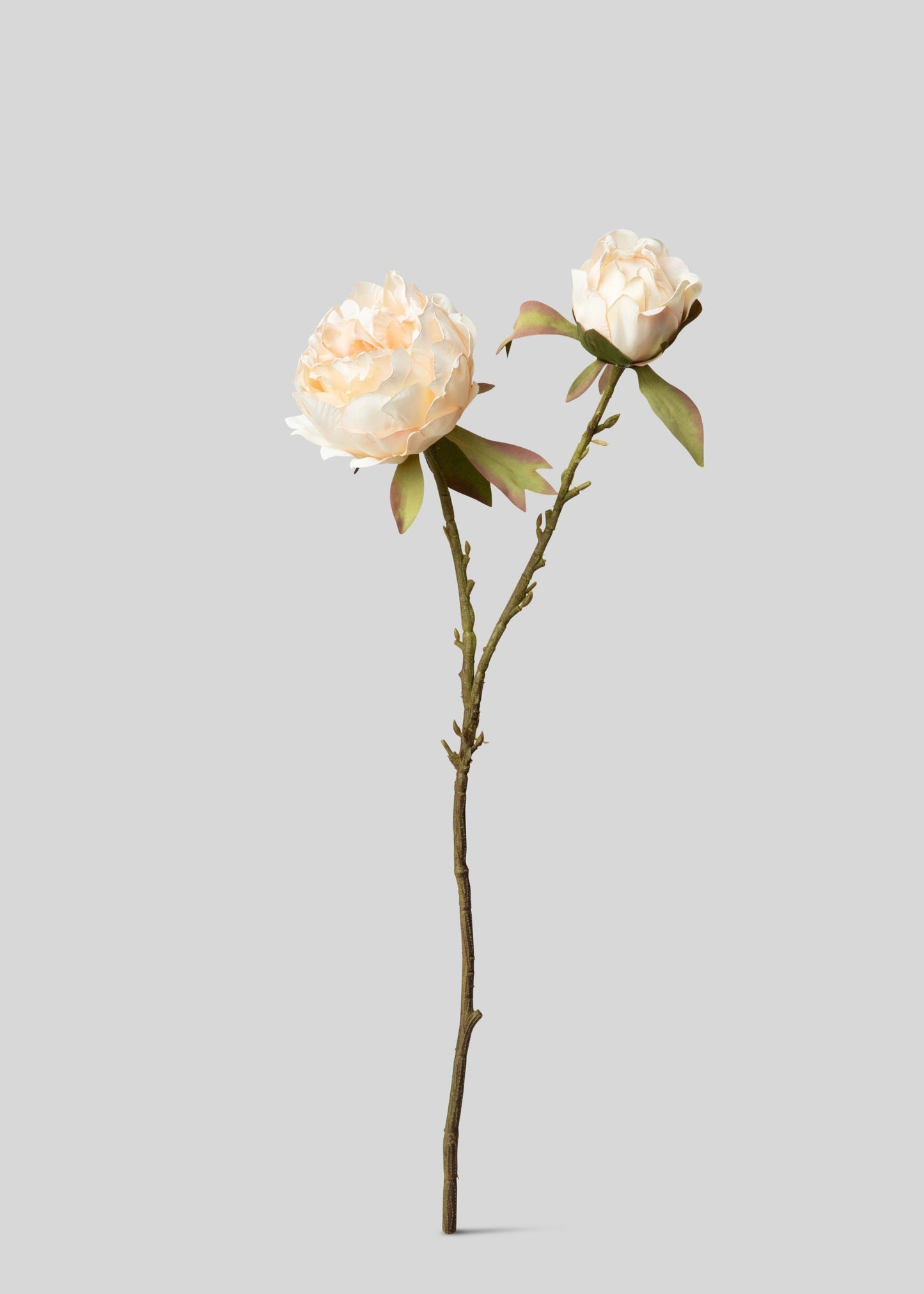 Artificial Peony Flower in Blush - 21.5"