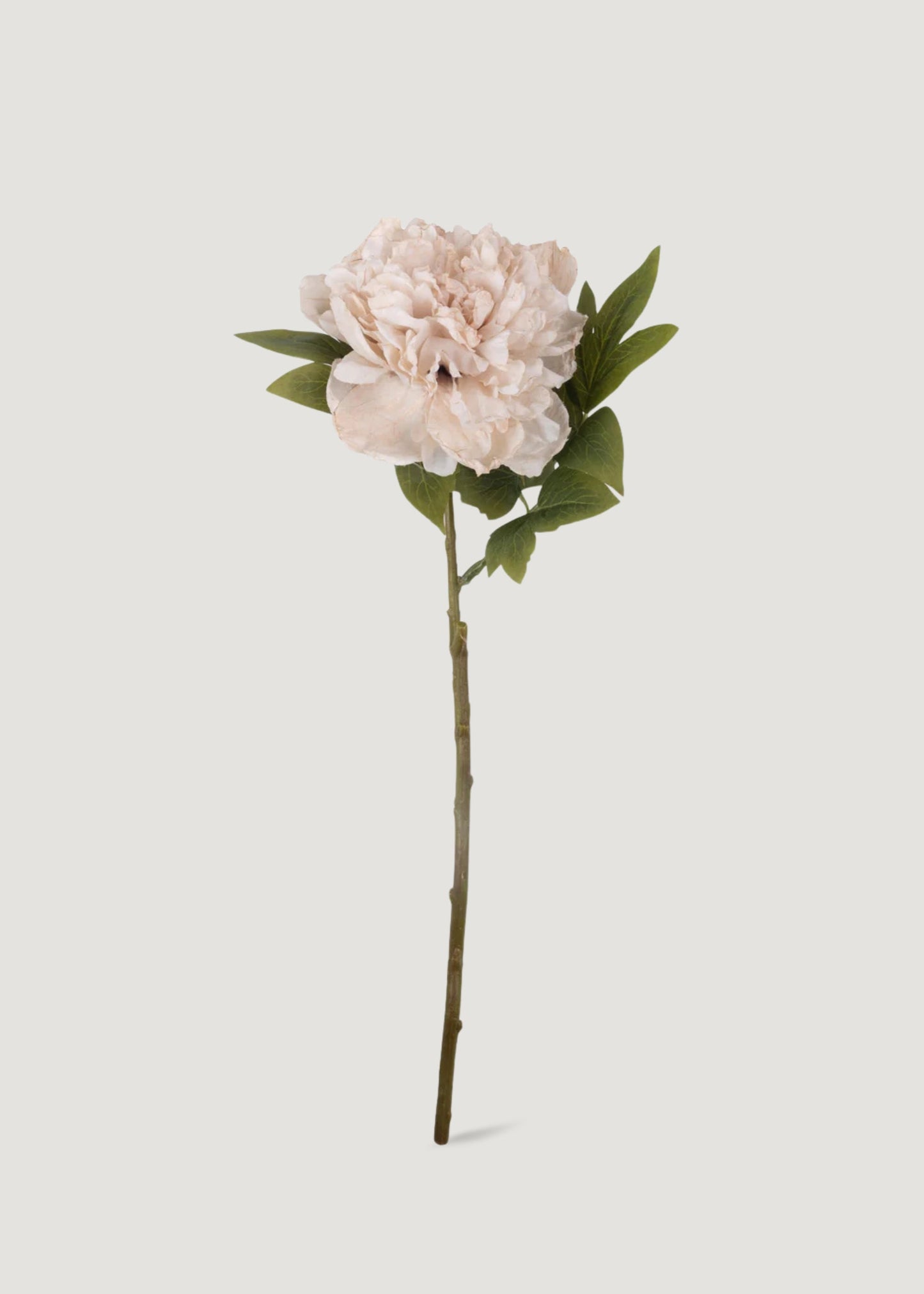 Abigail Ahern Beige Blush Artificial Peony Flower - 17.5"