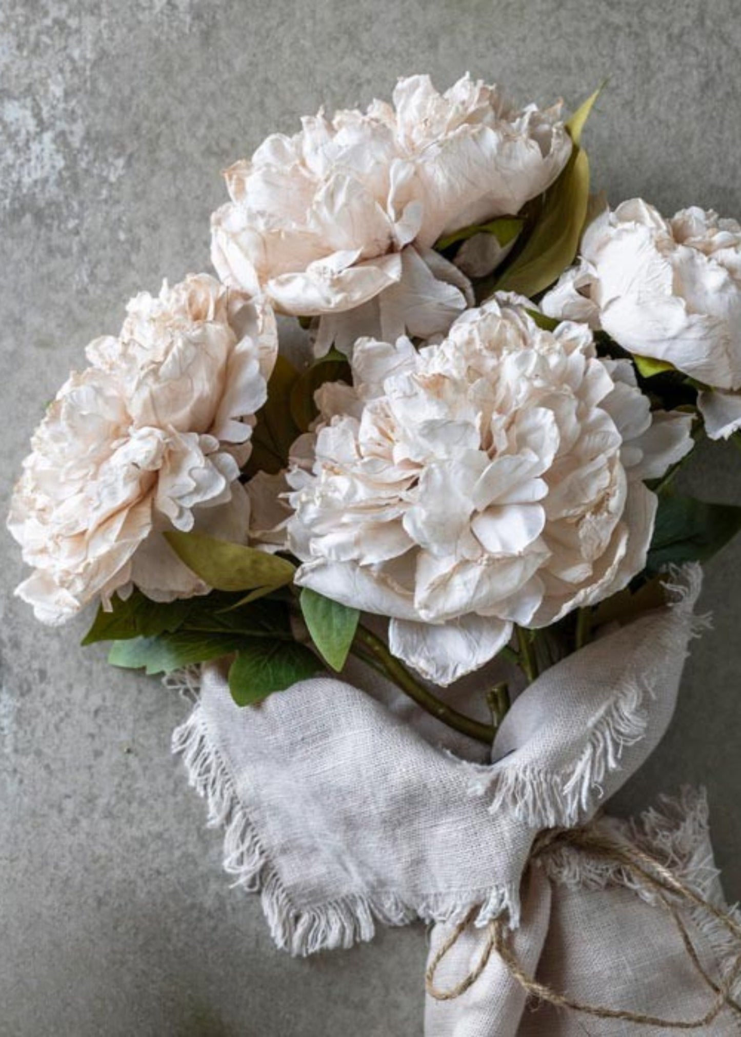 Abigail Ahern Beige Blush Artificial Peony Flower - 17.5"