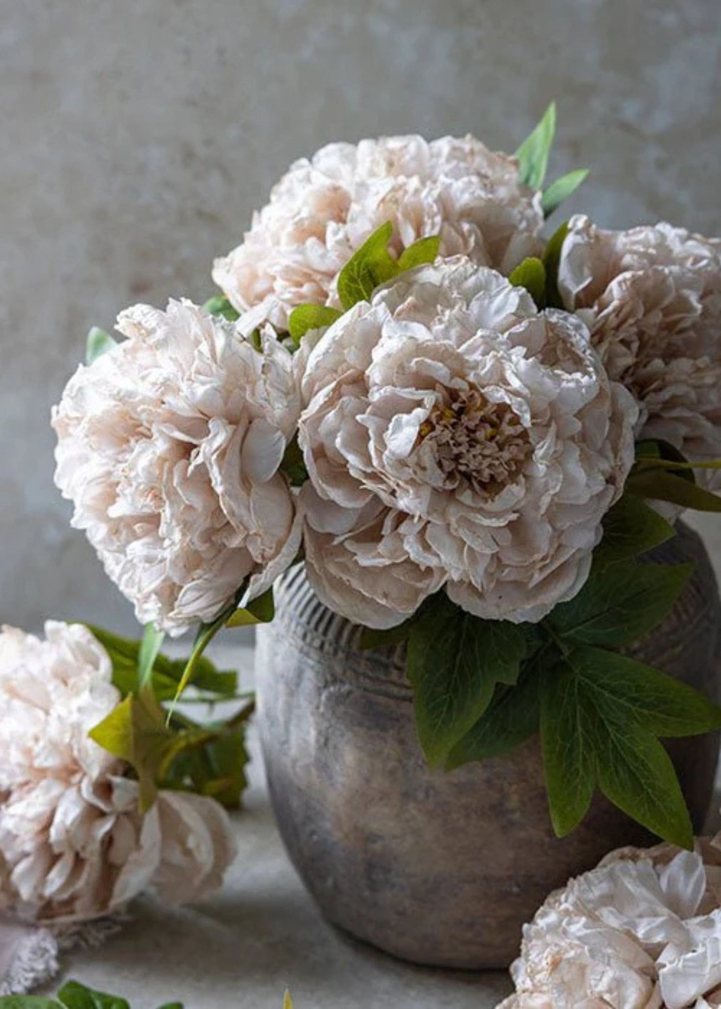 Abigail Ahern Beige Blush Artificial Peony Flower - 17.5"