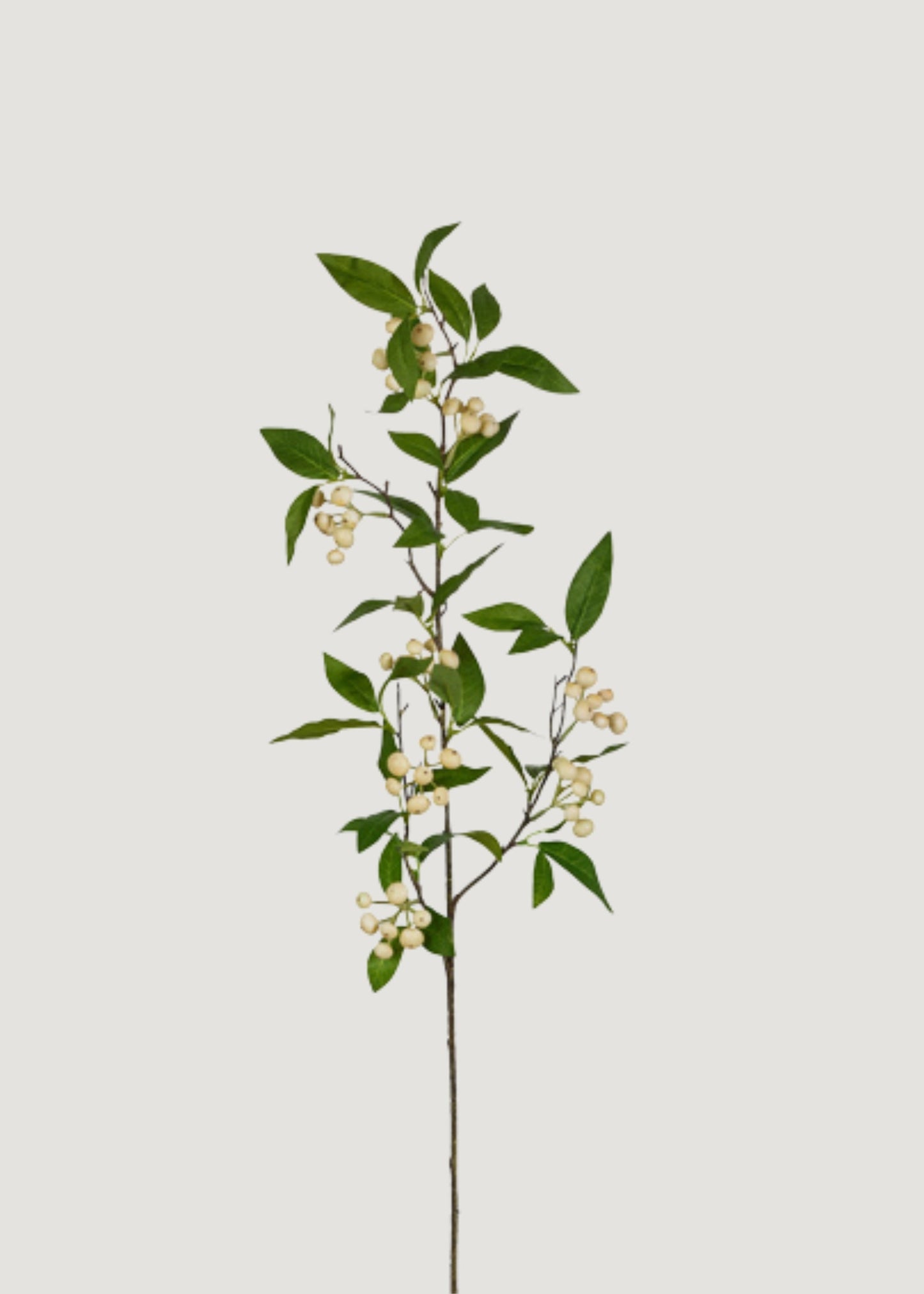 Fake Berry Branch in Cream - 34"