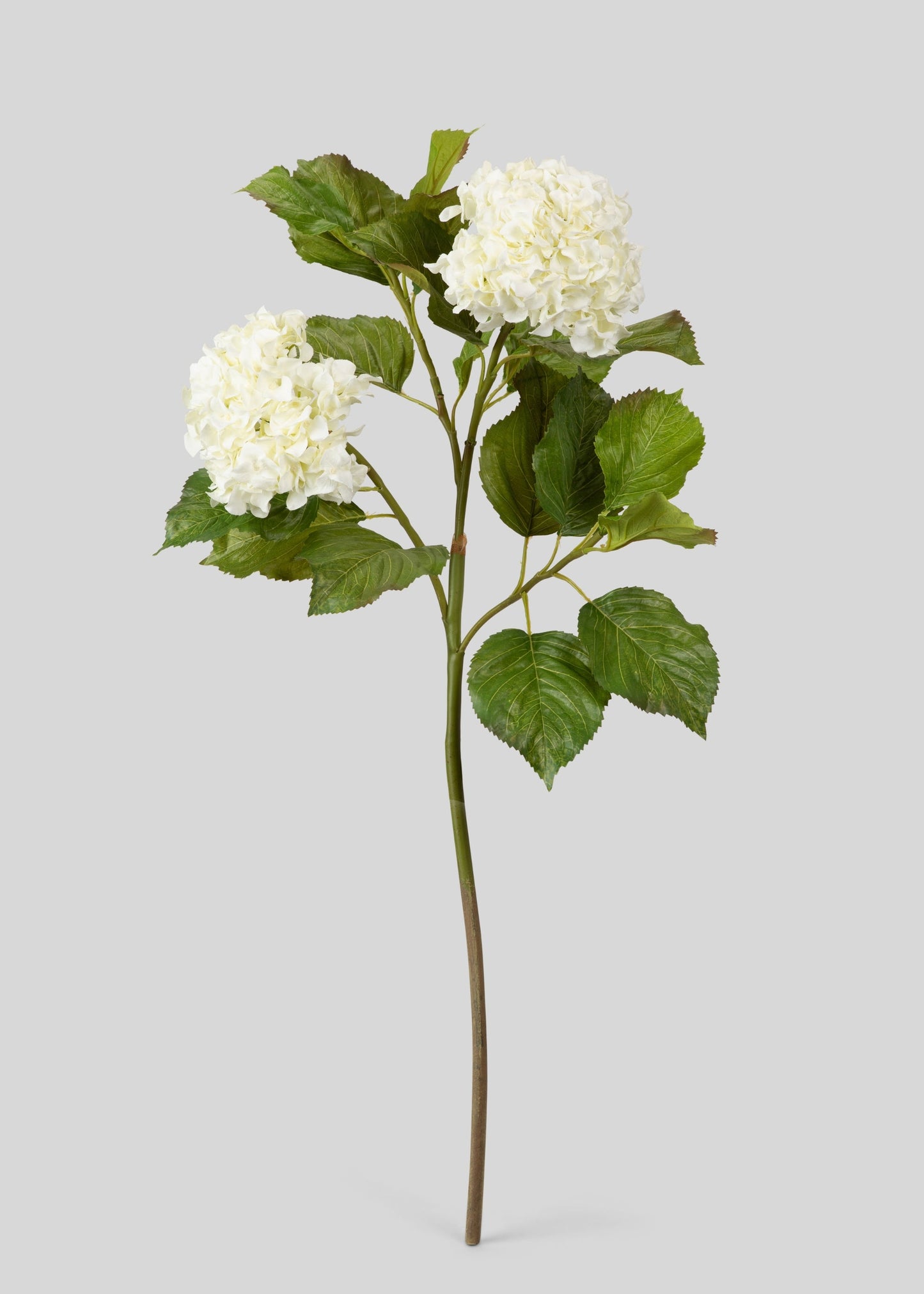 Fake Hydrangea Branch in Crisp White - 36"
