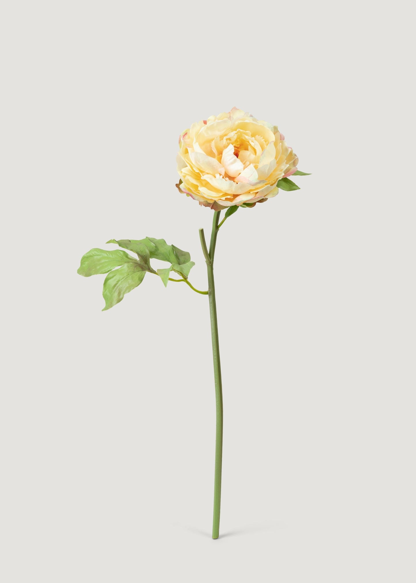 Real Touch Peony in Yellow Watercolor Palette - 20"