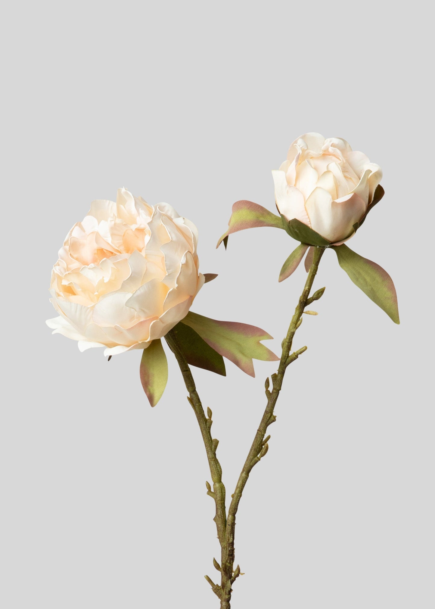 Artificial Peony Flower in Blush - 21.5"