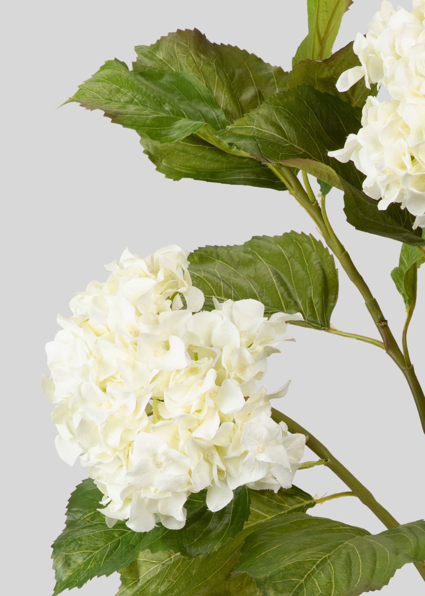 Fake Hydrangea Branch in Crisp White - 36"