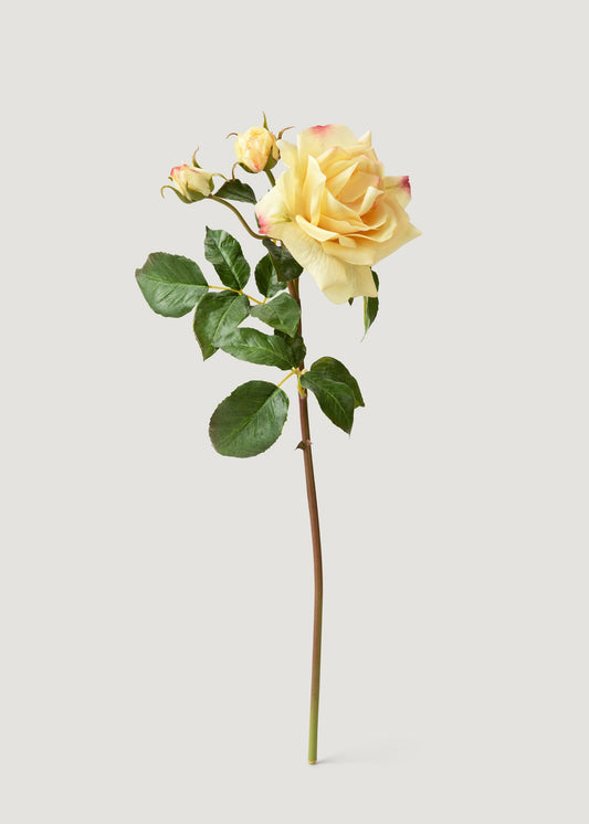 Real Touch Faux Juliet English Rose in Yellow - 22"