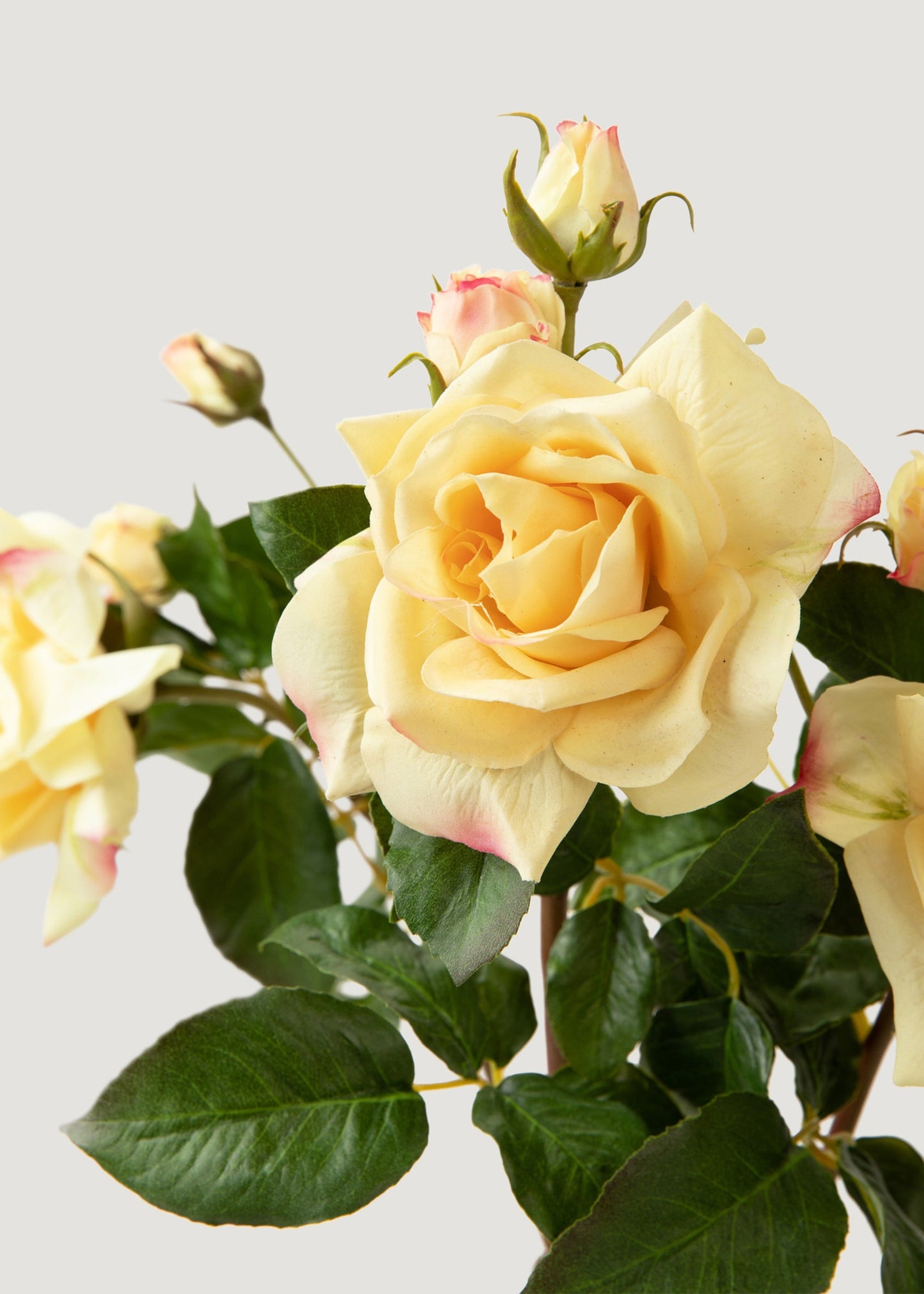 Real Touch Faux Juliet English Rose in Yellow - 22"