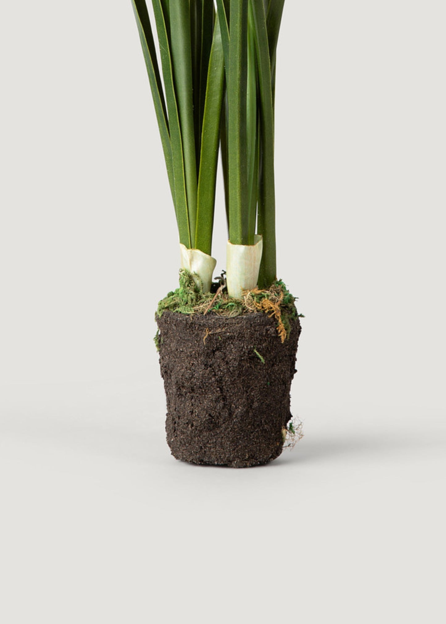 Artificial Spring Paperwhite Drop-In Plant - 17"