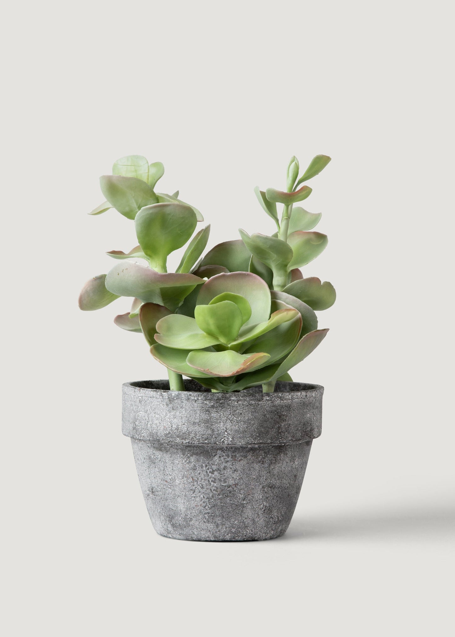 Artificial Succulent Plant in Pot - 16.5"