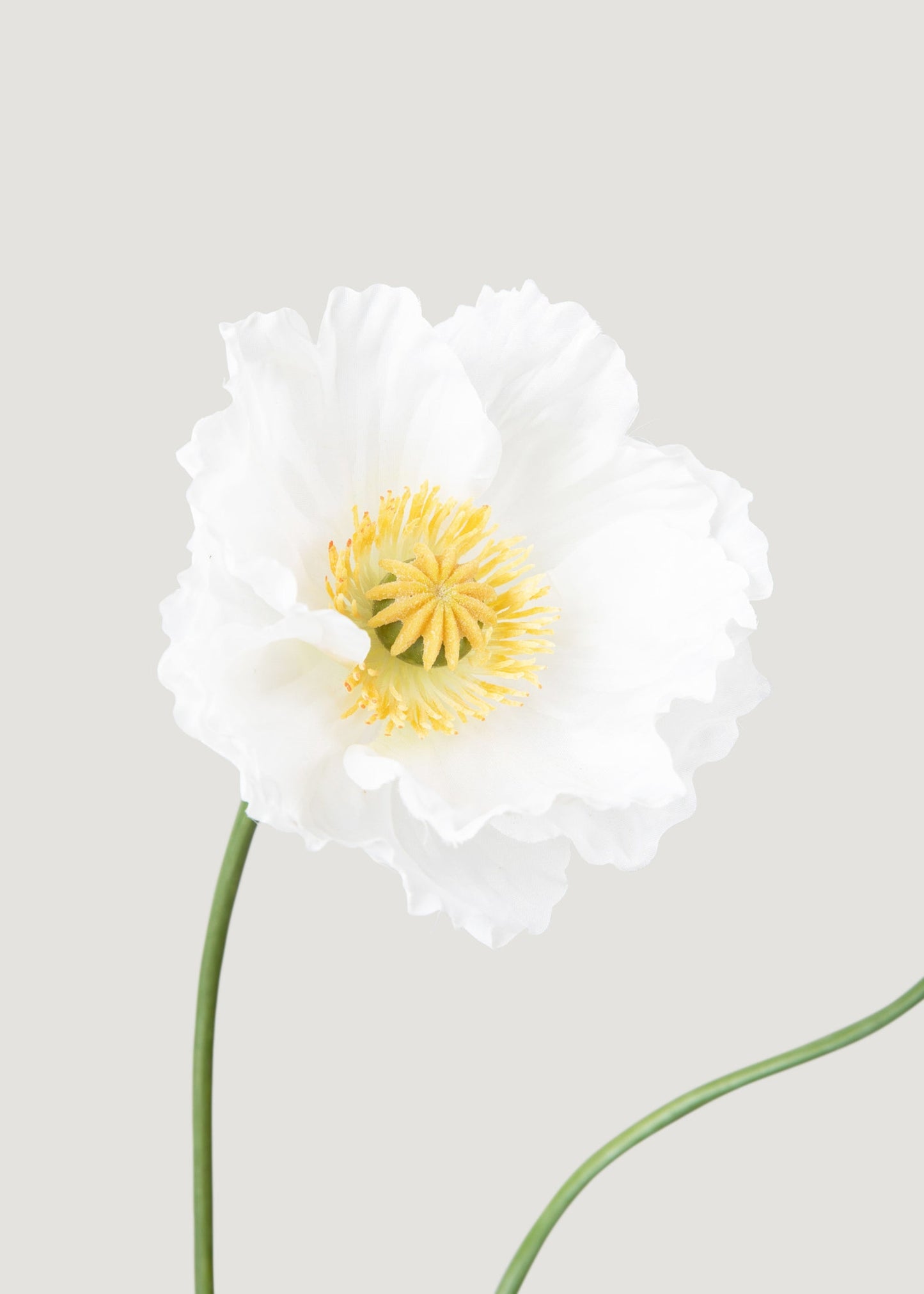 Faux Poppy Flower in Cream White - 31"