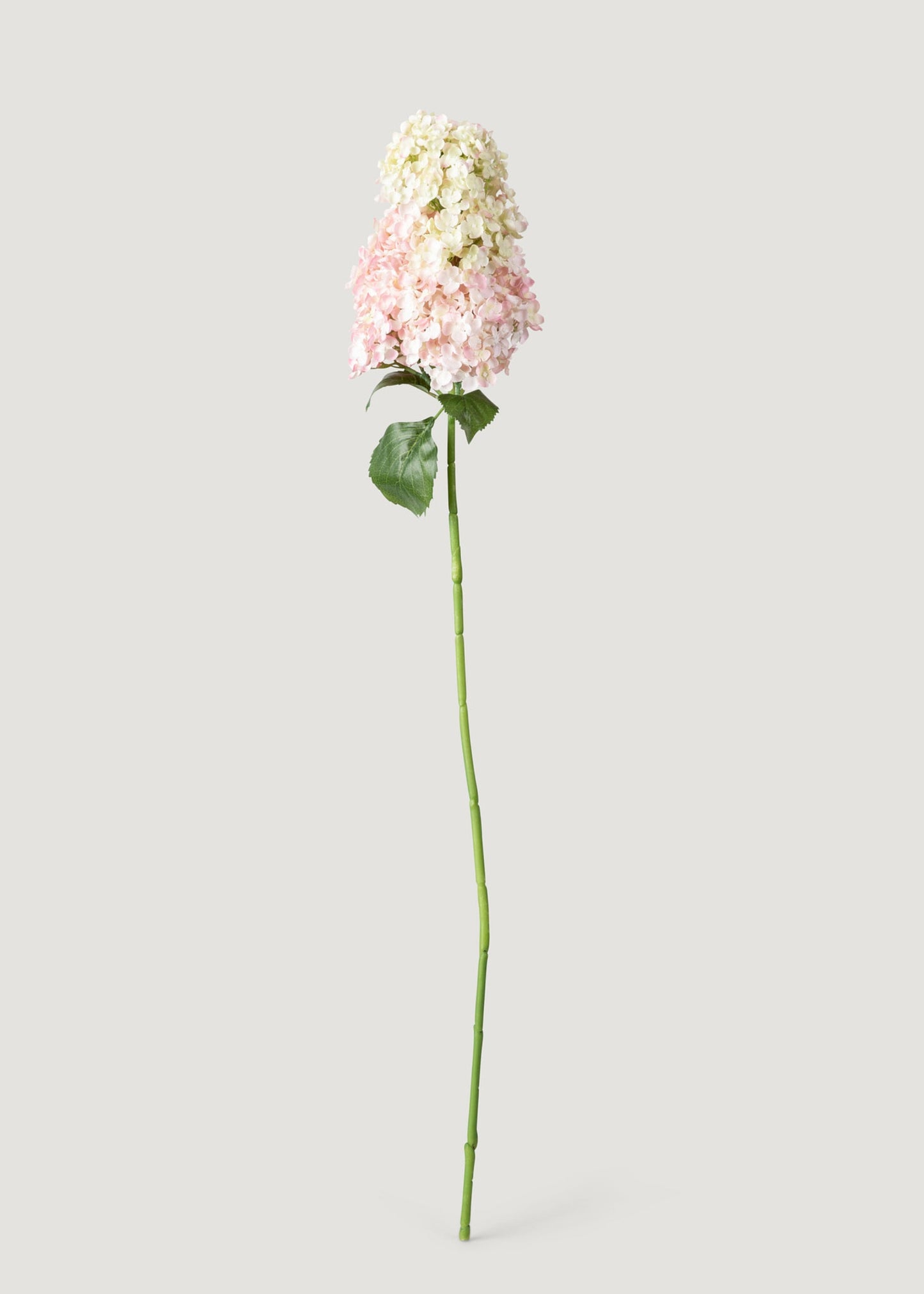 Pink Cream Artificial Cone Hydrangea Flower - 40"