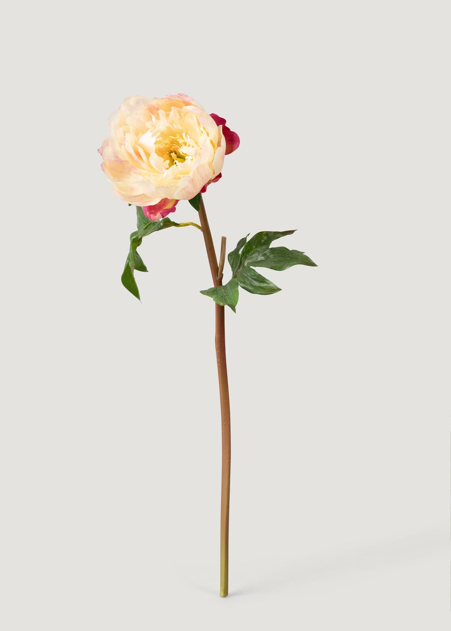 Faux Peony Flower in Peach Pink - 20"