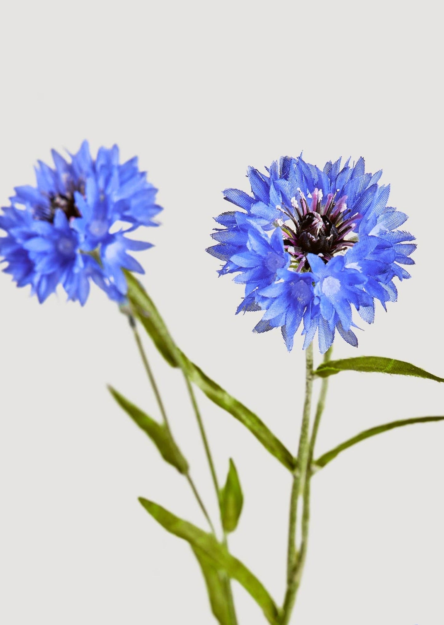 Blue Faux Cornflower Wildflowers - 25.5"