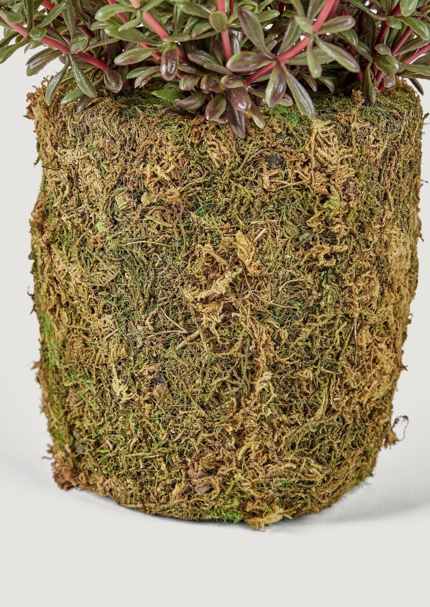 Artificial Drop-In Aeonium Succulent Plant - 14"