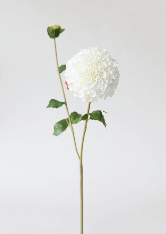 Blooming Fake Dahlia in White - 31"