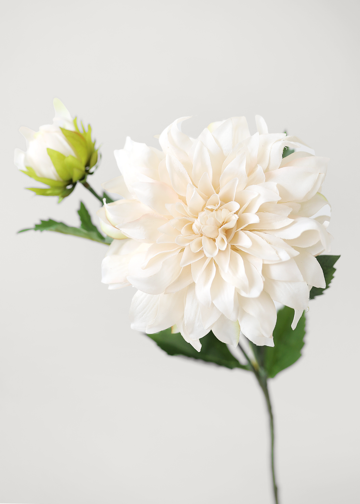 Ivory Artificial Dahlia Flower - 19.5"