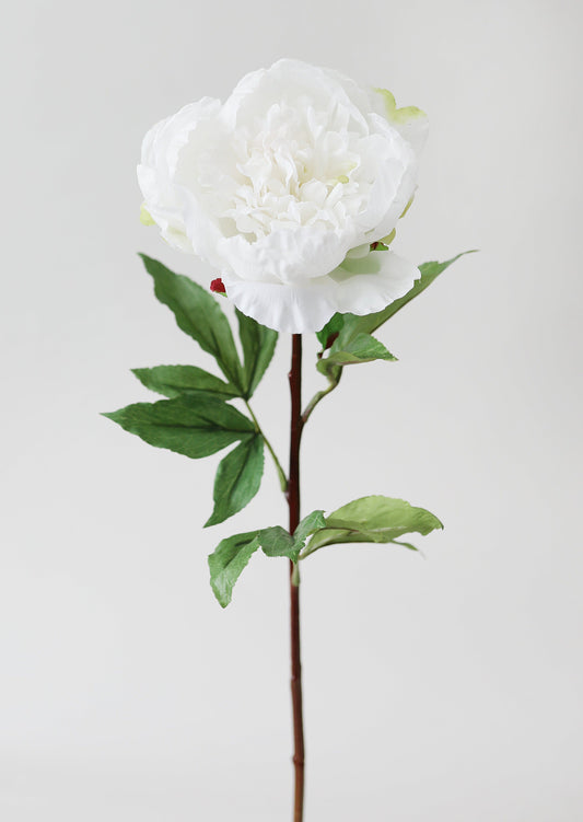 Cream White Faux Real Touch Peony Flower - 30"