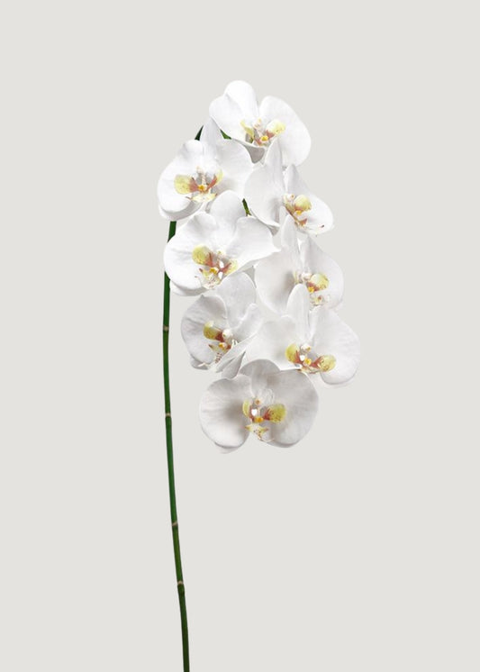 Faux White Blooming Phalaenopsis Orchids - 40"