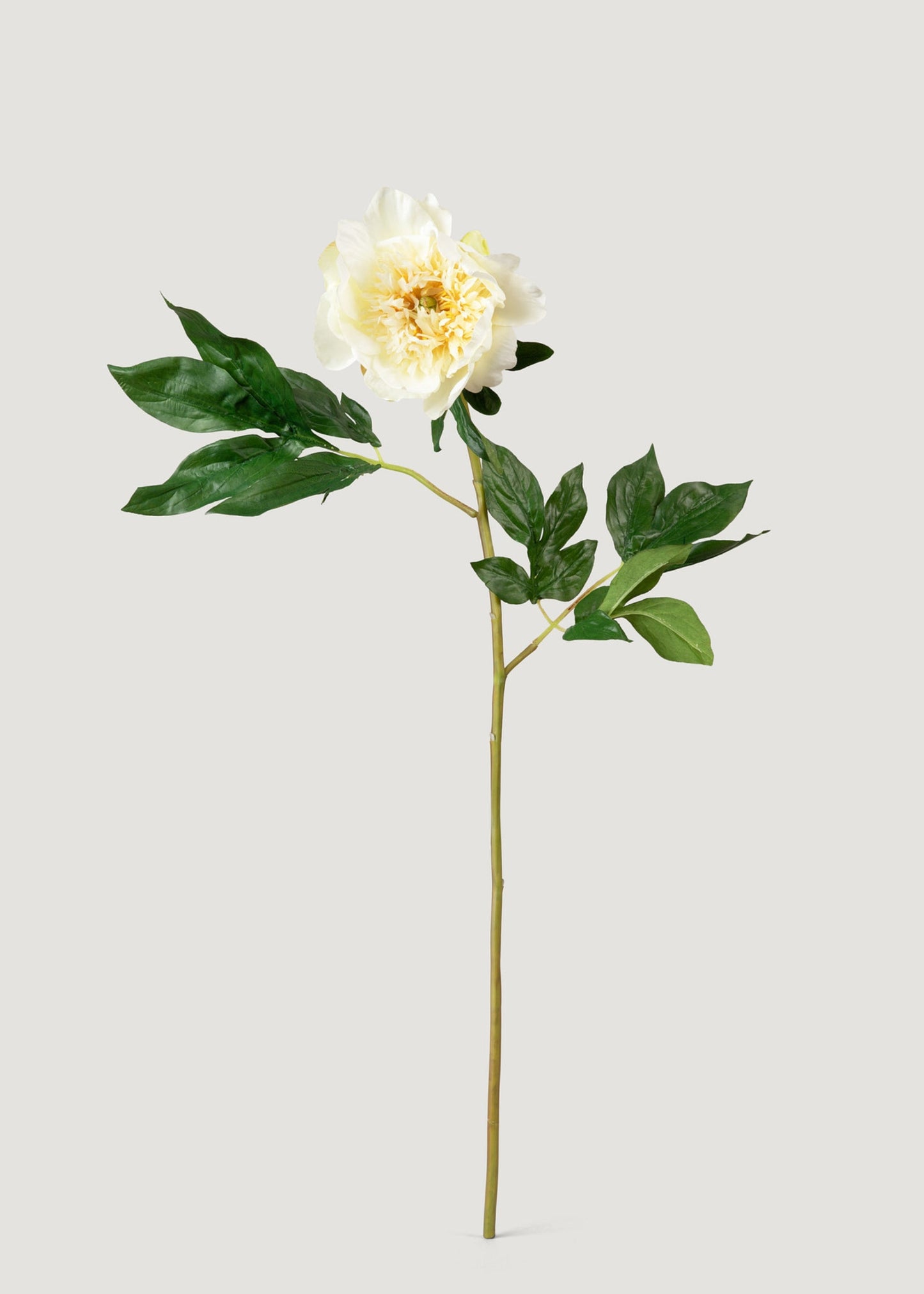 Artificial Peony Flower in Cream White - 28.5"