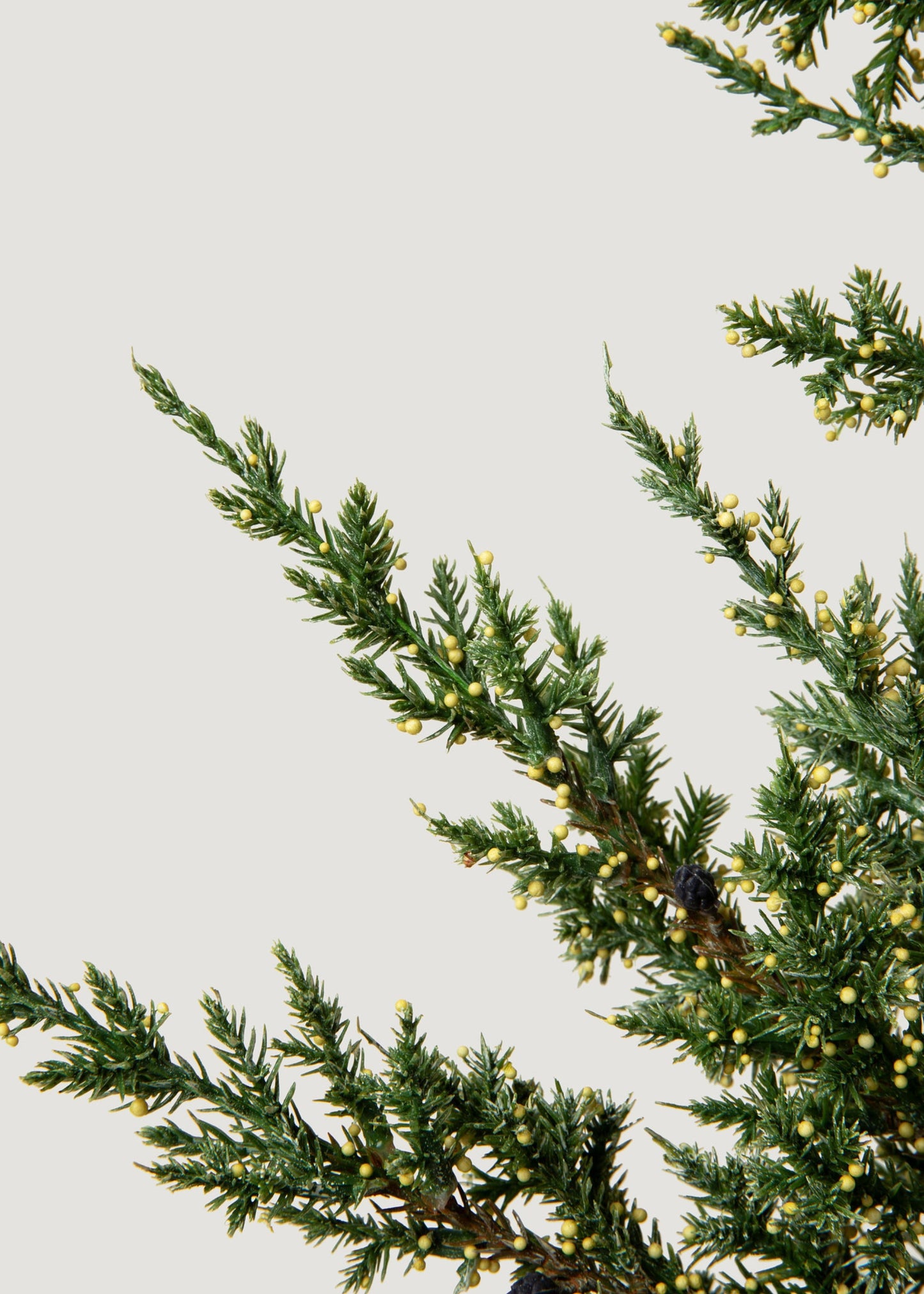 Artificial Evergreen Pine Branch - 37"