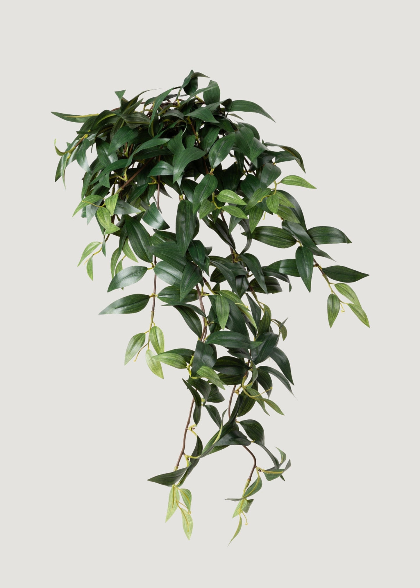 Fake Ruscus Leaf Hanging Plant - 31"