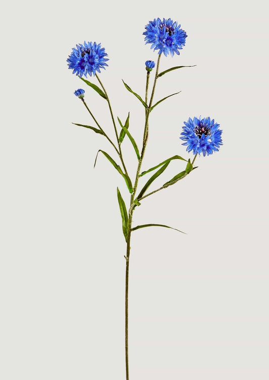 Blue Faux Cornflower Wildflowers - 25.5"