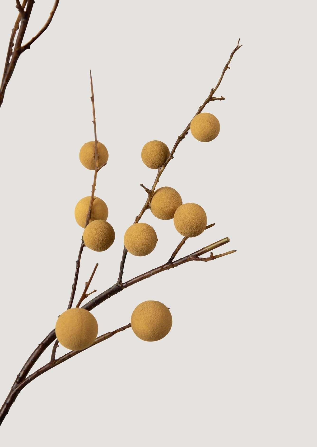 Faux Tropical Longan Fruit Branch - 39"