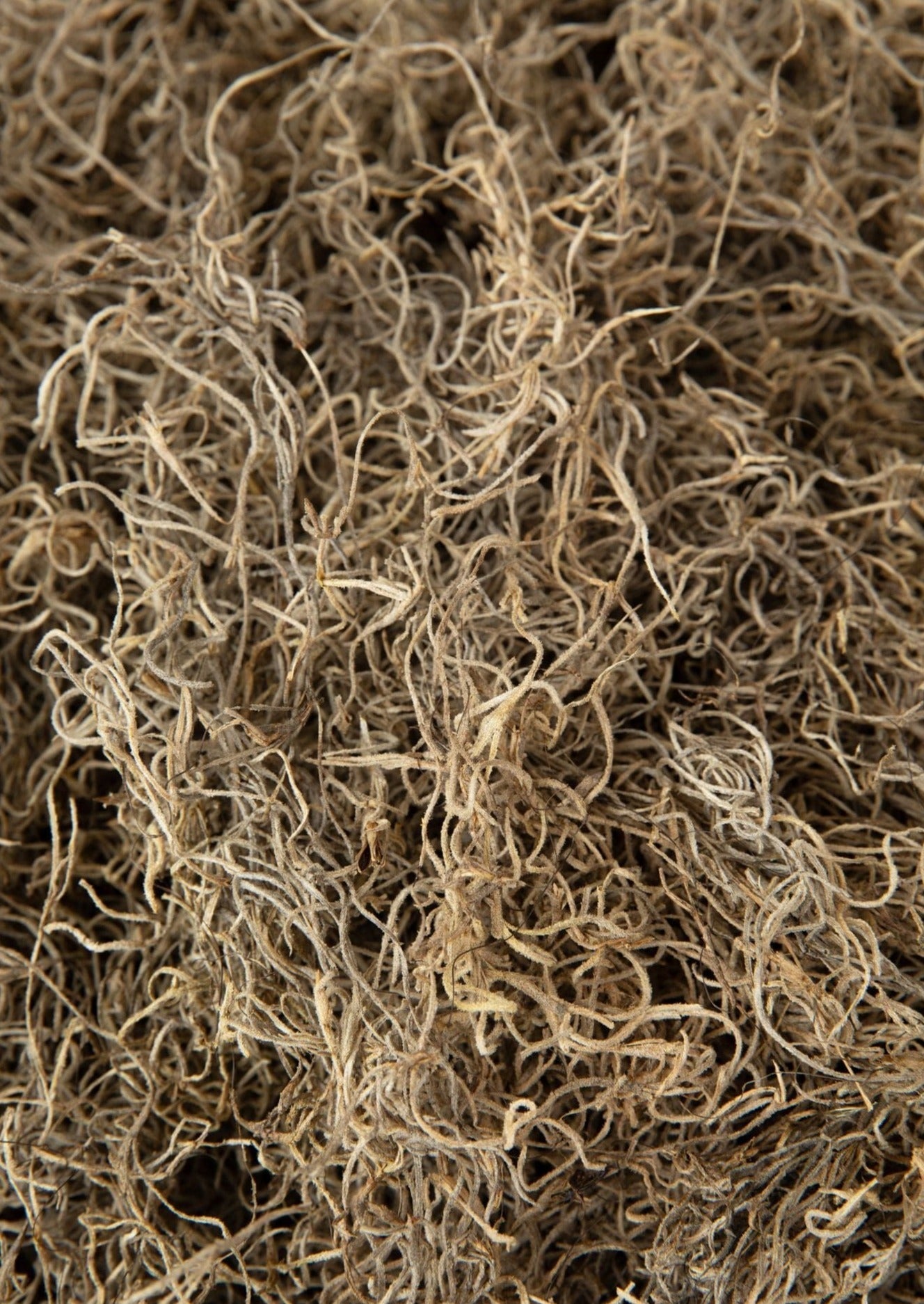 Natural Dried Spanish Moss