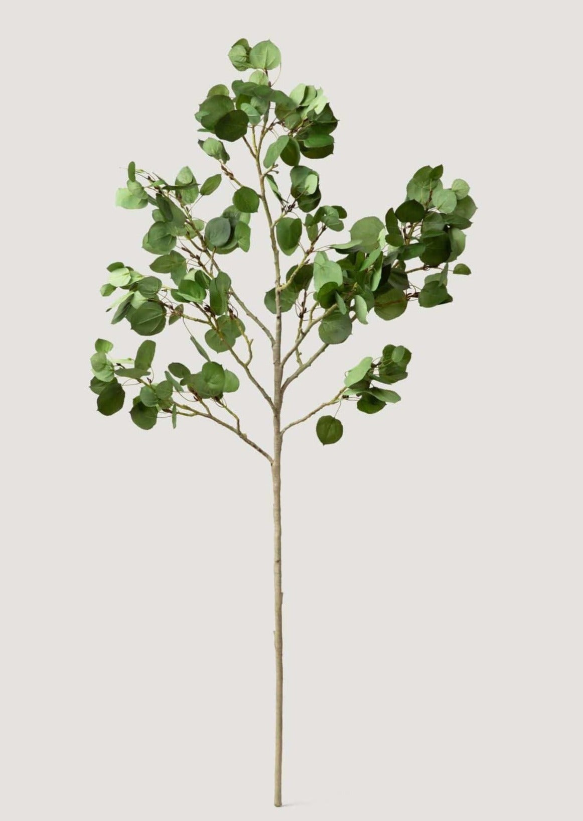 Tall Luxe Artificial Aspen Branch - 51"