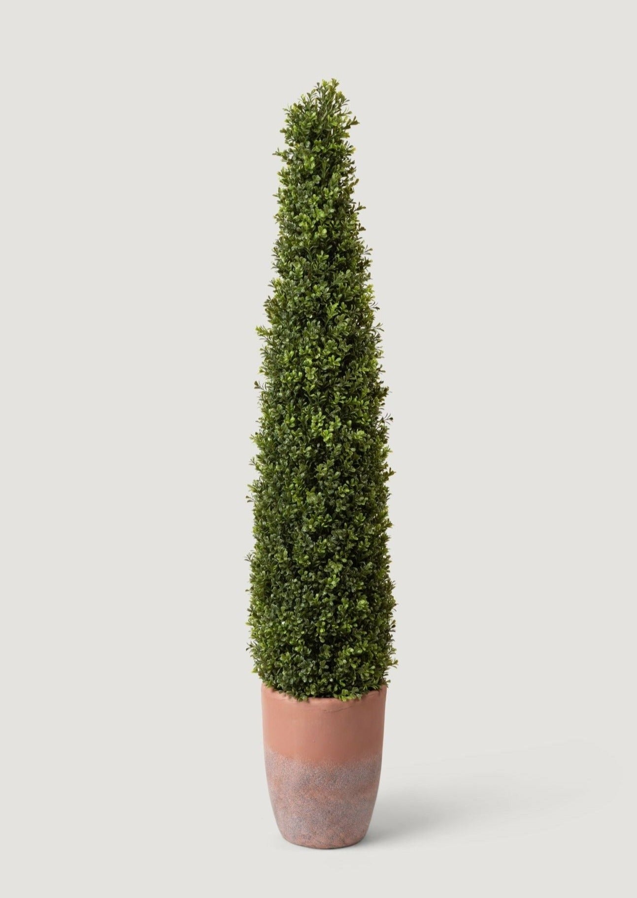 UV Treated Faux Indoor/Covered Outdoor Boxwood Topiary Tree in Terra Cotta Pot - 60"