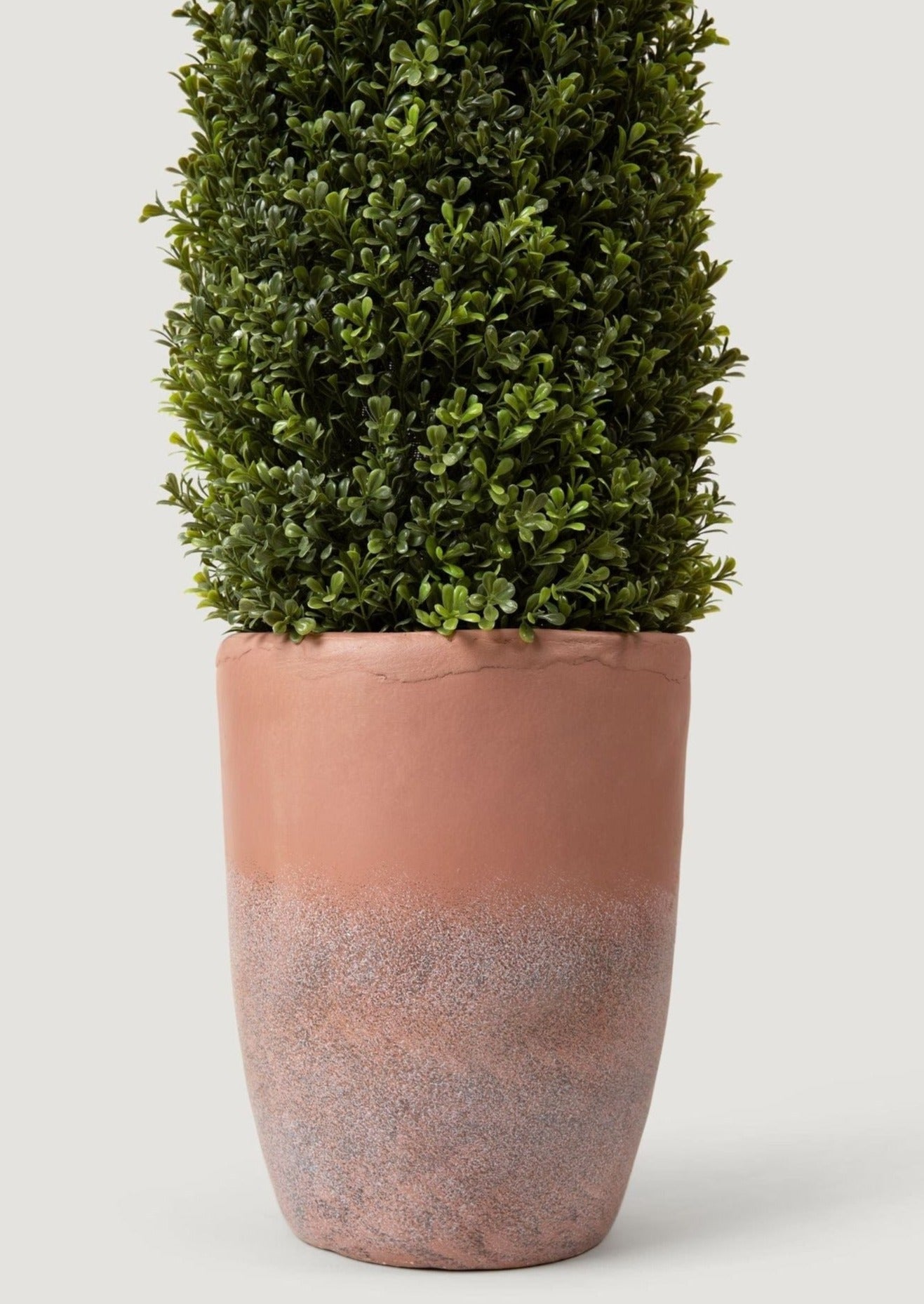 UV Treated Faux Indoor/Covered Outdoor Boxwood Topiary Tree in Terra Cotta Pot - 60"