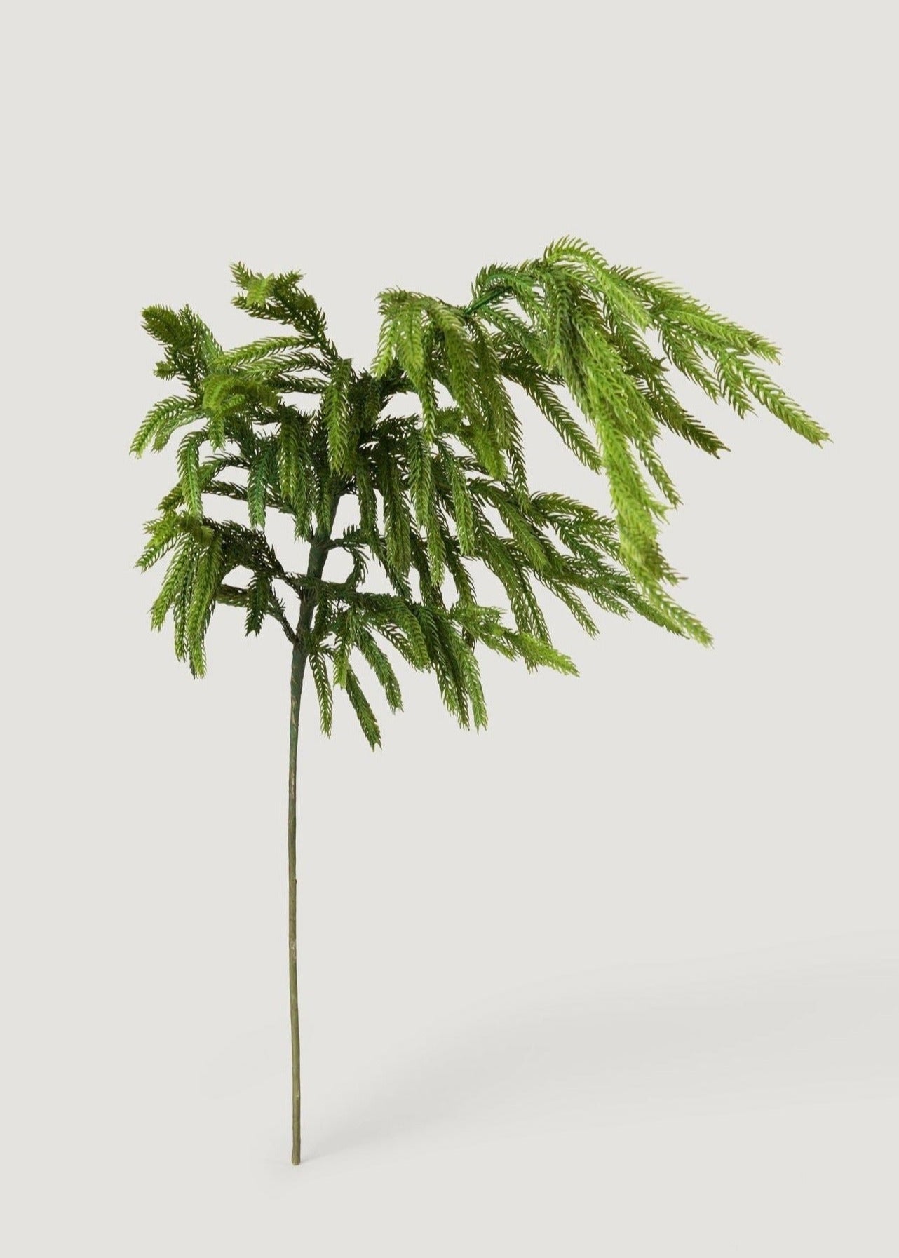 Artificolor Real Touch Norfolk Pine Branch - 36"