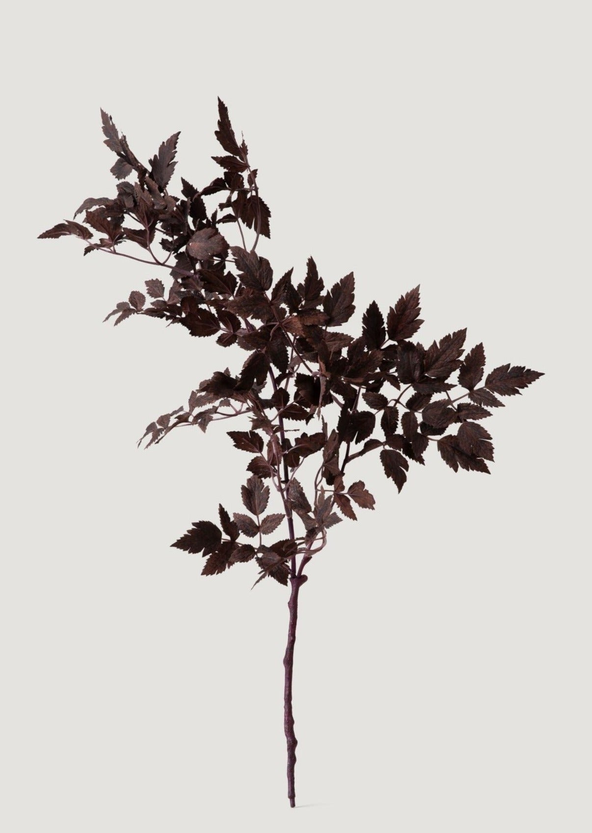 SALE Fake Plants | New Afloral Plum Artificial Cimicifuga Plant Leaf Spray - 31"