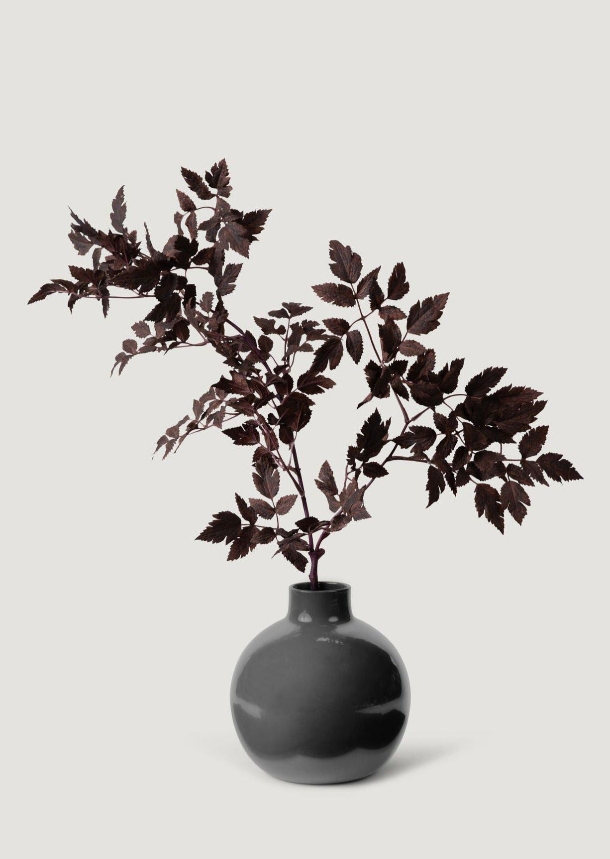 SALE Fake Plants | New Afloral Plum Artificial Cimicifuga Plant Leaf Spray - 31"