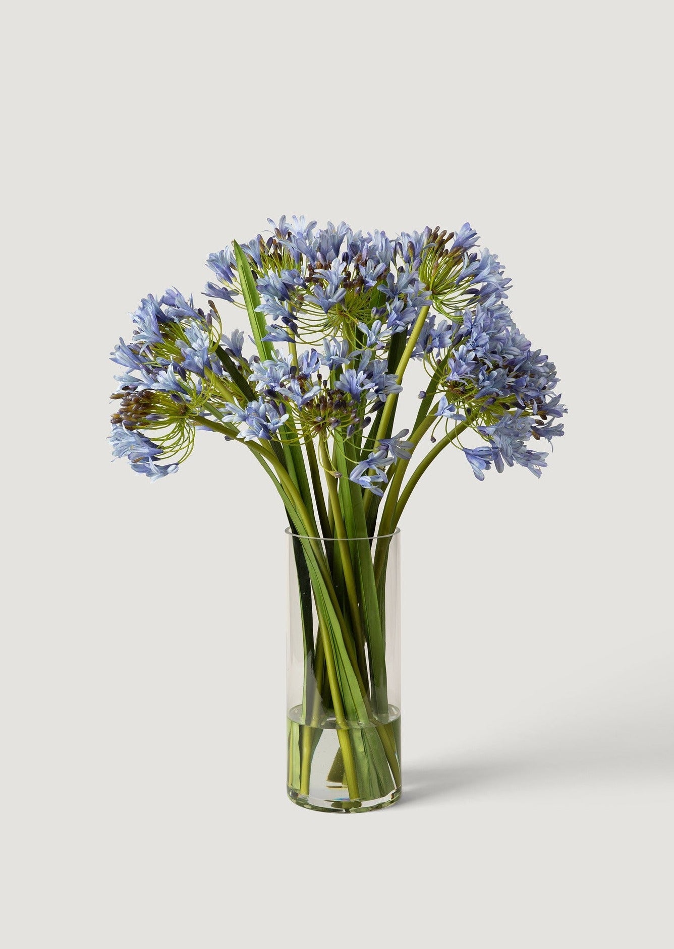 Blue Faux Agapanthus Flower Arrangement in Glass Vase - 31"