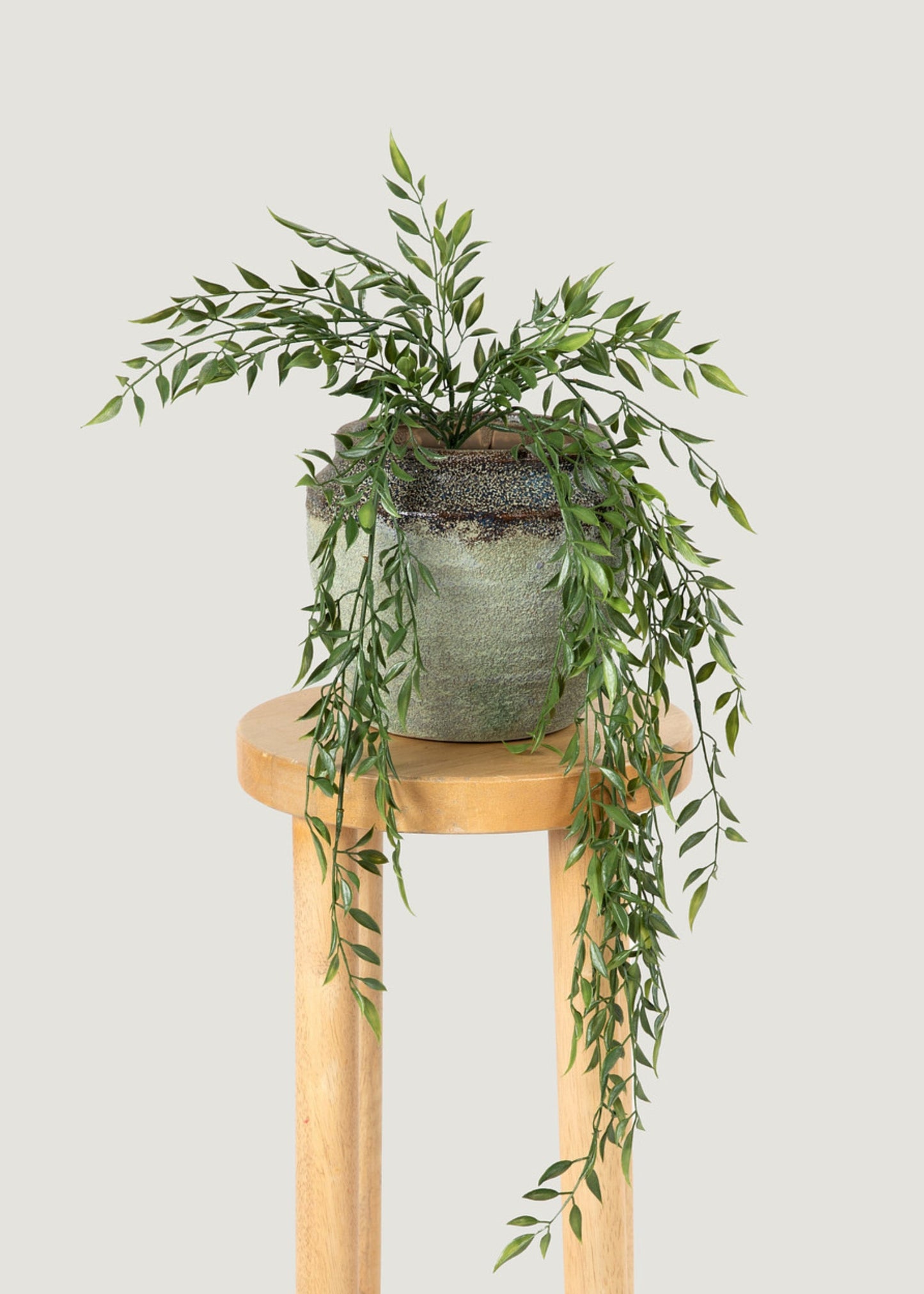 Artificial Hanging Ruscus Branch - 24"