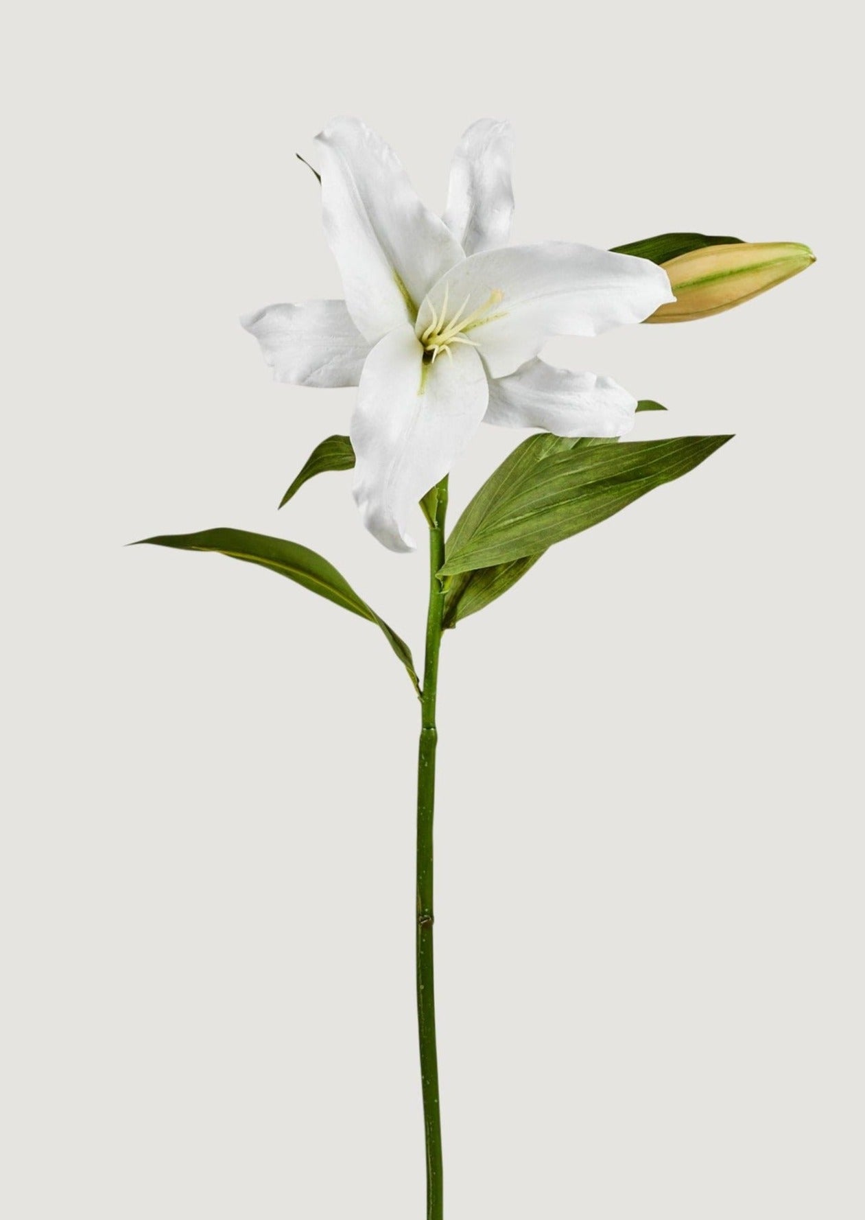 Natural Touch Faux Casablanca Lily Flower in White - 27"