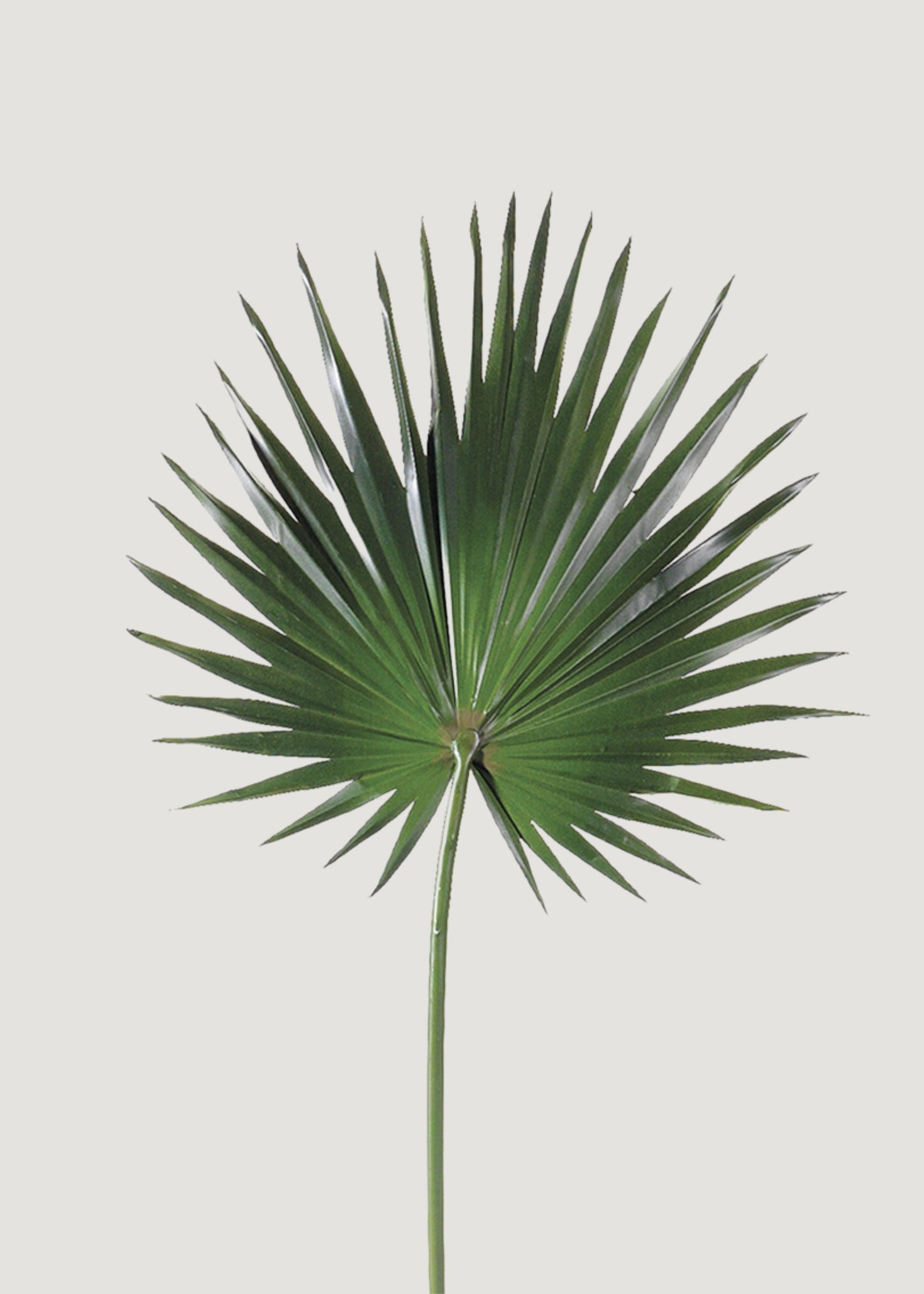 Artificial Fan Palm Leaf - 30"