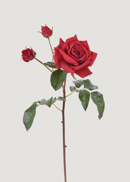 Real Touch English Rose Artificial Flower in Red - 22"