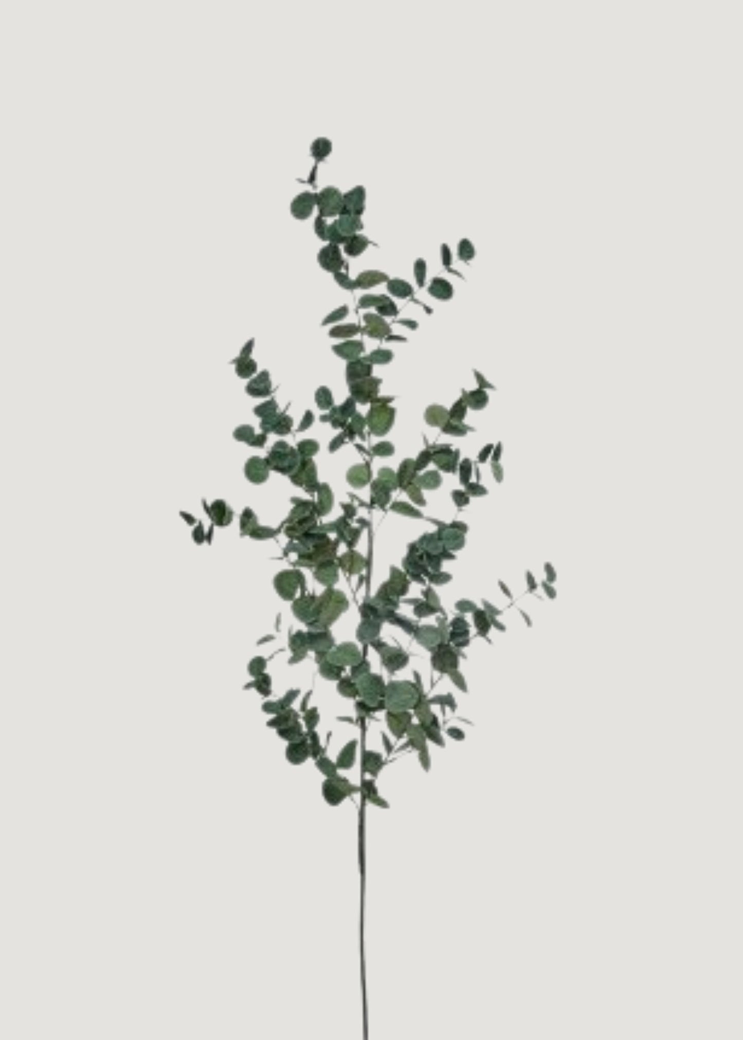 Deluxe Tall Eucalyptus Faux Branch - 48"