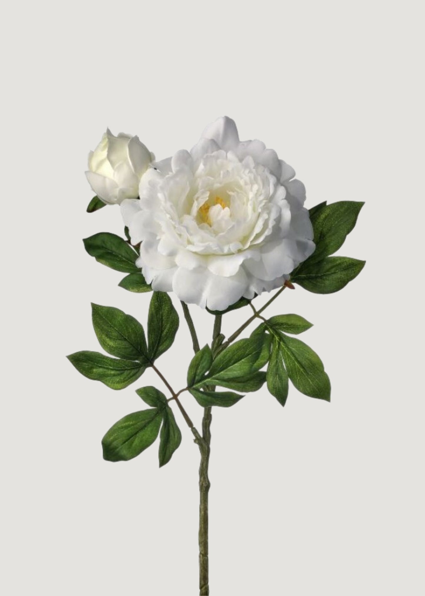 Deluxe White Faux Queen Garden Peony Flower - 30"