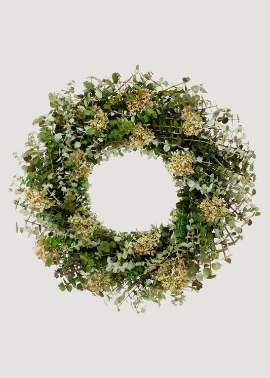 Mixed Green Preserved Eucalyptus and Hydrangea Wreath - 22"