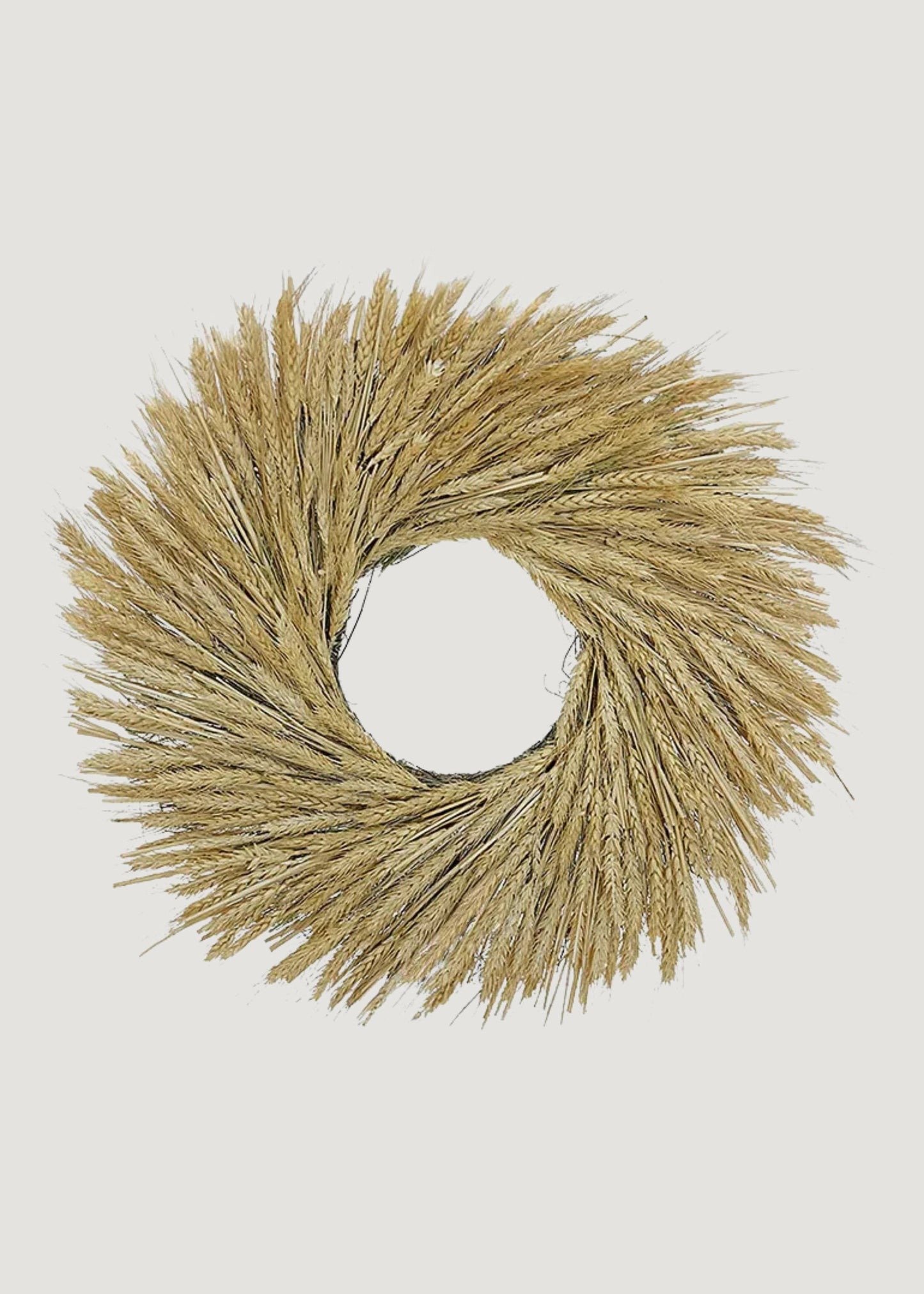 Natural Dried Bearded Wheat Wreath - 22"