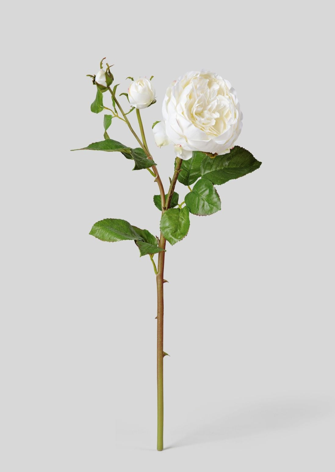 Real Touch Fake Flower English Rose with Bud - 21"